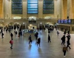 Can Intercultural skills help deal with the pandemic? Webinar on April 14th, from 5.pm till 6.pm