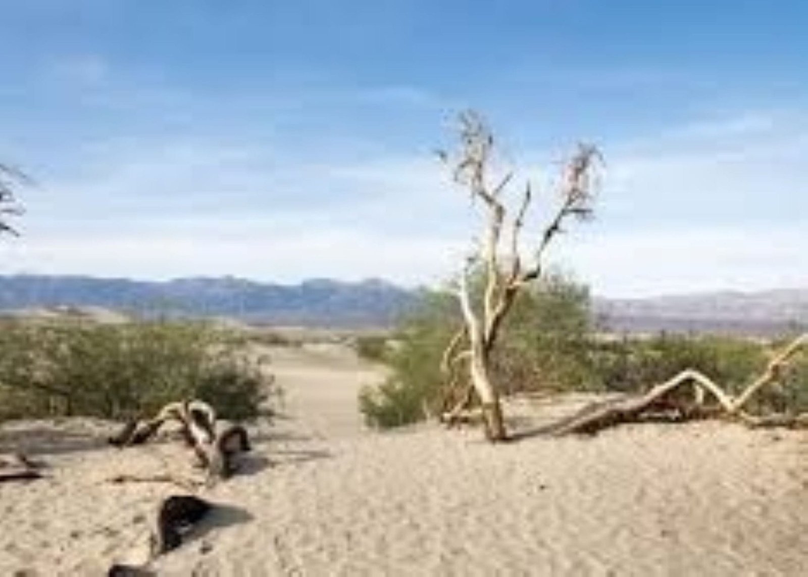 Death & Culture: a dialogue with two intercultural coaches September 18th from 10h00 to 12h00 CET with Regina Reinhardt and Zarine Jacob